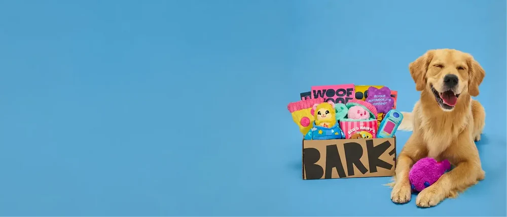 Unleash Monthly Joy for Dogs