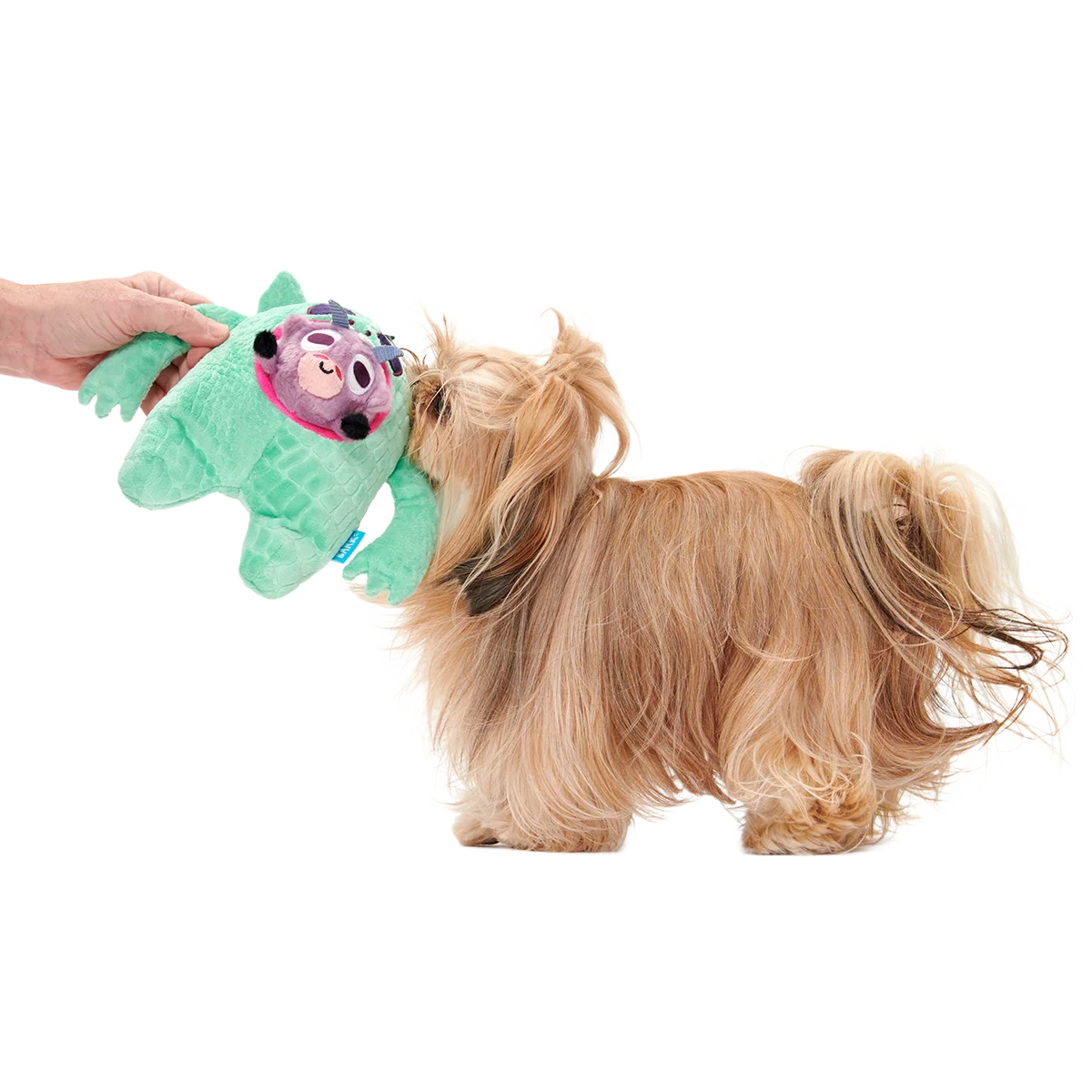 Thumbnail 3