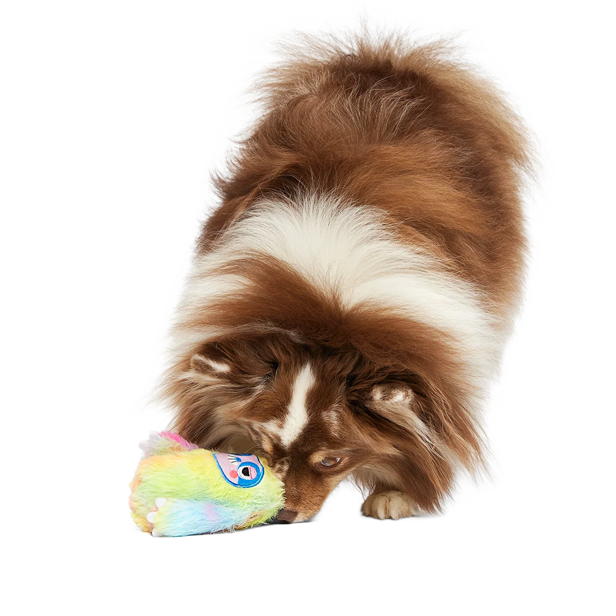 Thumbnail 5