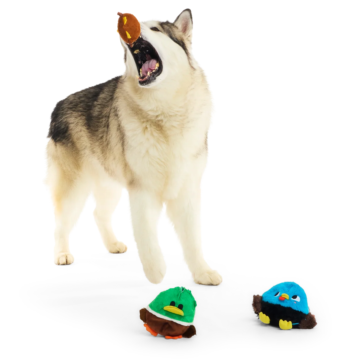 Thumbnail 8